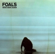 Capa do artigo What Went Down - Vinil