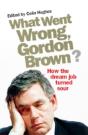What Went Wrong, Gordon Brown? - Preview
