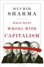 What Went Wrong With Capitalism - Preview