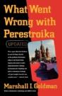 What Went Wrong With Perestroika? - Preview