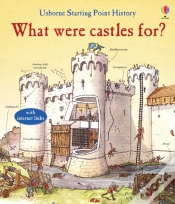 Capa do artigo What Were Castles For?