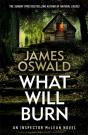 What Will Burn - Preview