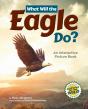 What Will The Eagle Do? - Preview