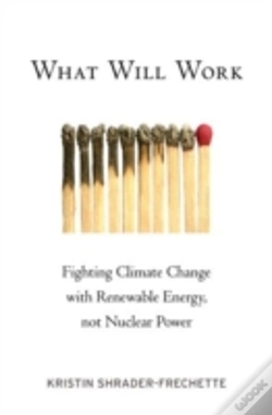 Capa do artigo What Will Work