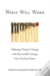What Will Work