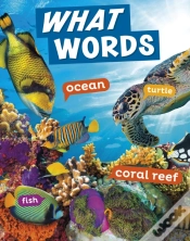Capa do artigo What Words