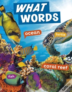 Capa do artigo What Words