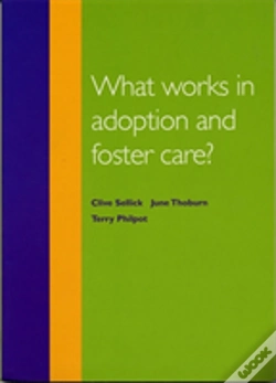 Capa do artigo What Works In Adoption And Foster Care?