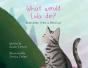 What Would Lula Do? - Preview