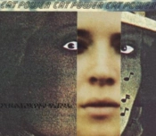 Capa do artigo What Would the Community Think - Vinil