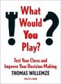 What Would You Play? - Preview