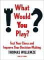 What Would You Play? - Preview