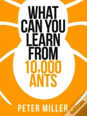 Capa do artigo What You Can Learn From 10,000 Ants