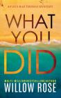What You Did - Preview