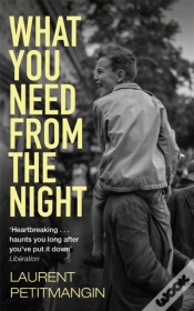 Capa do artigo What You Need From The Night