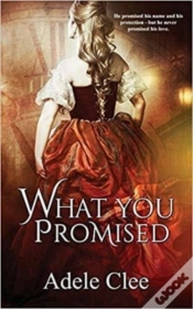 Capa do artigo What You Promised