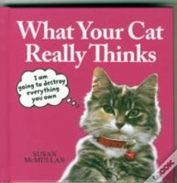 Capa do artigo What Your Cat Really Thinks