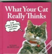 Capa do artigo What Your Cat Really Thinks