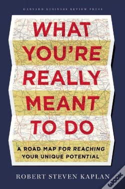 Capa do artigo What You'Re Really Meant To Do