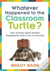 Whatever Happened To The Classroom Turtle?