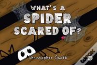 What'S A Spider Scared Of?