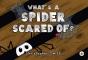 What'S A Spider Scared Of? - Preview