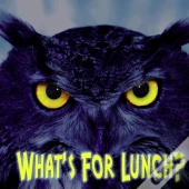 What'S For Lunch?