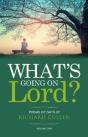 What'S Going On Lord? - Preview