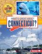 What'S Great About Connecticut? - Preview