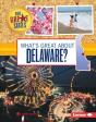 What'S Great About Delaware? - Preview