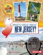 What'S Great About New Jersey? - Preview