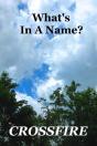 What'S In A Name? - Preview