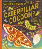 What'S Inside A Caterpillar Cocoon? - Preview