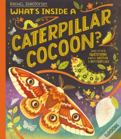 Capa do artigo What'S Inside A Caterpillar Cocoon?