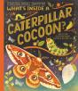 What'S Inside A Caterpillar Cocoon? - Preview