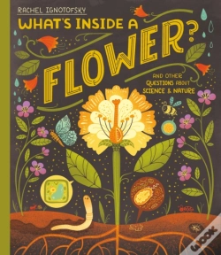 Capa do artigo What'S Inside A Flower?