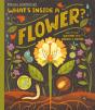 What'S Inside A Flower? - Preview