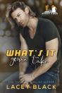 What'S It Gonna Take - Preview