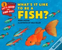 What'S It Like To Be A Fish?
