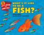 What'S It Like To Be A Fish? - Preview