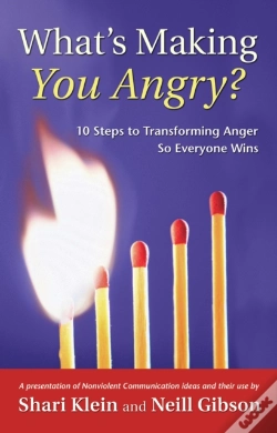 Capa do artigo What'S Making You Angry?