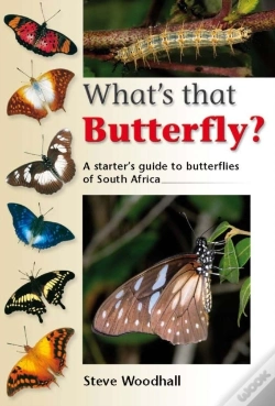 Capa do artigo What'S That Butterfly?