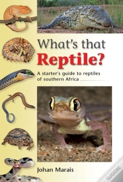 Capa do artigo What'S That Reptile?