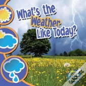 What'S The Weather Like Today?