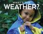What'S The Weather? - Preview
