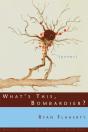 What'S This, Bombardier? - Preview