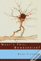 What'S This, Bombardier?