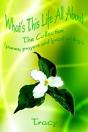 What'S This Life All About: The Collection (Poems, Prayers And Lyrical Writings) - Preview