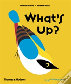 Capa do artigo What'S Up?