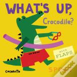 What'S Up Crocodile?